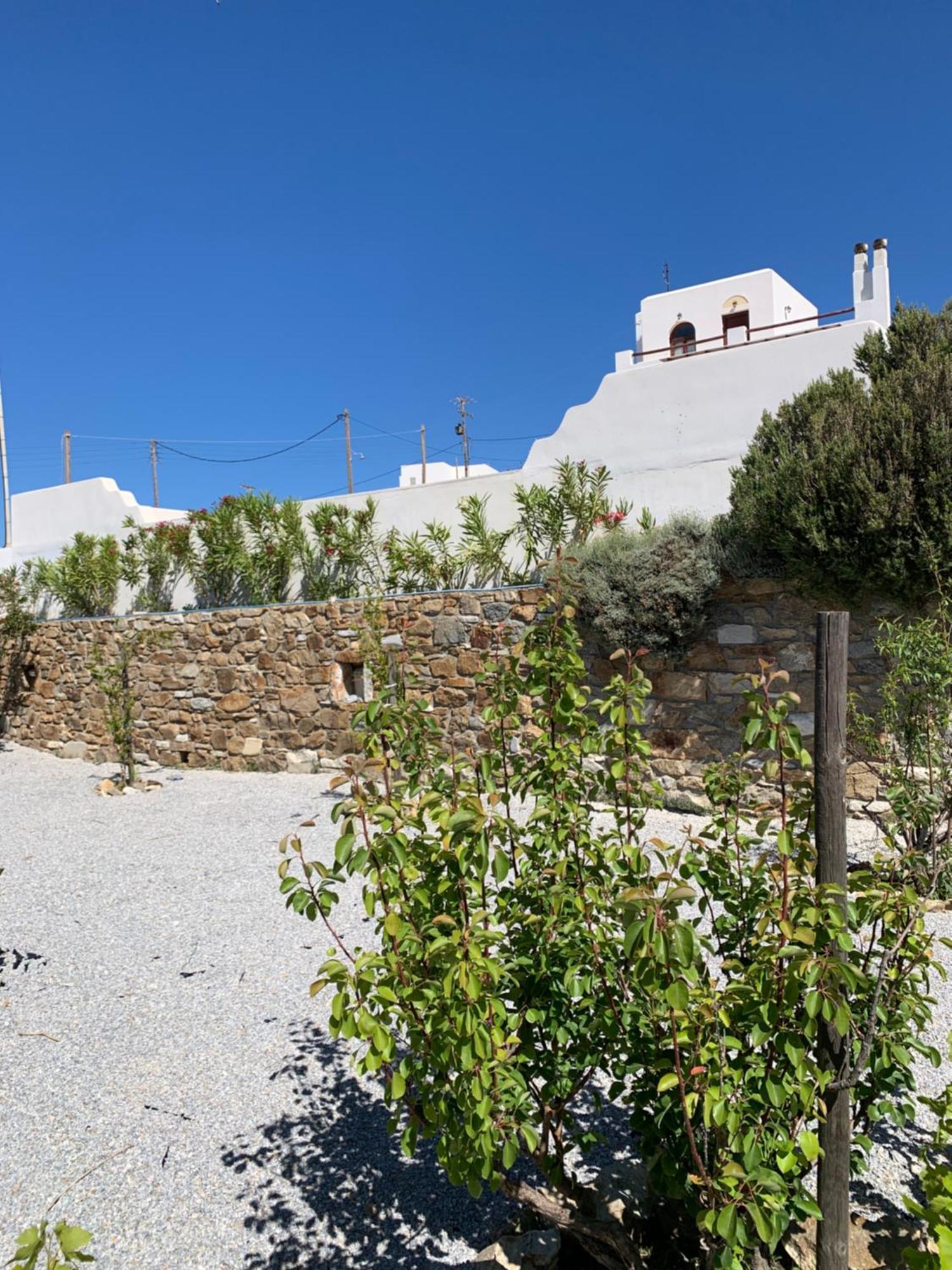 Villa Of Roses In Naxos - Private Villa With Pool Naxos City Dış mekan fotoğraf